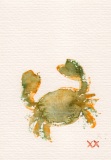 Crab, Watercolor print on paper, 4x6in., 2015